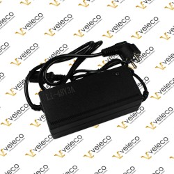 Ładowarka DRACO NM 48V LI-ON